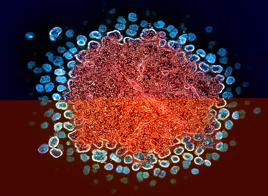 course image